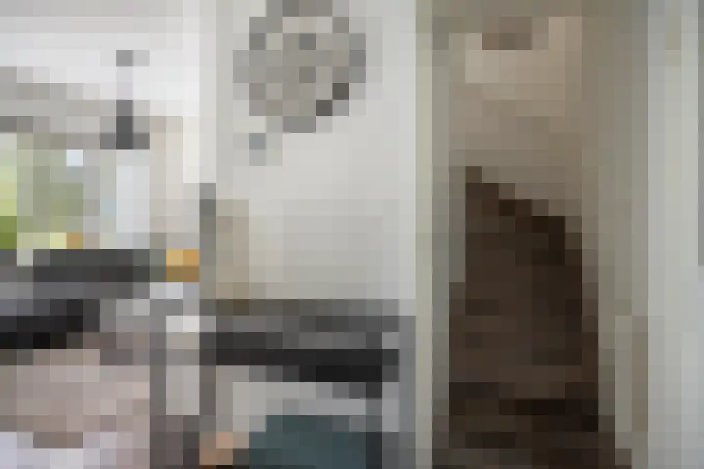 Zonnedauw 11 Nieuwlande thumbnail 17