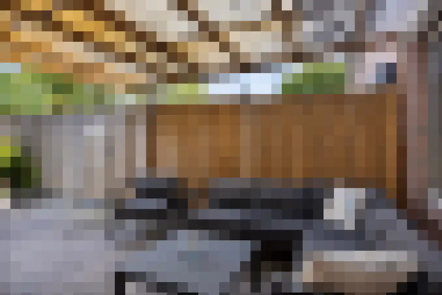Zonnedauw 11 Nieuwlande thumbnail 31
