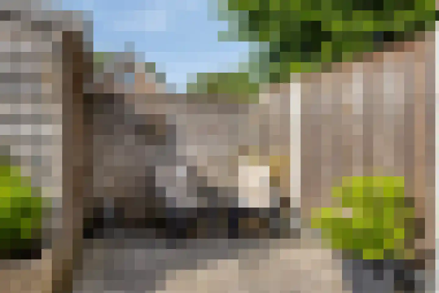 Zonnedauw 11 Nieuwlande thumbnail 33