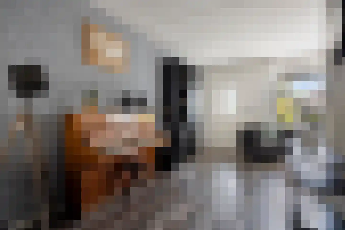 Zonnedauw 11 Nieuwlande thumbnail 8