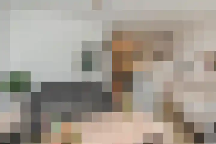 Zonnedauw 112 Boskoop thumbnail 11
