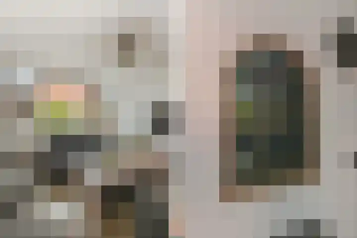 Zonnedauw 112 Boskoop thumbnail 12