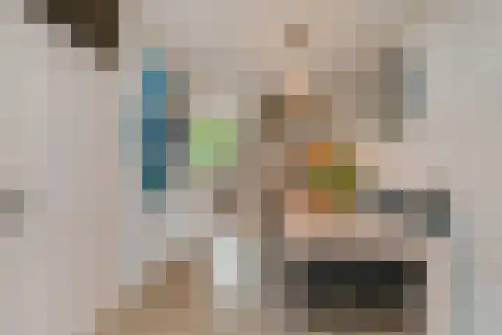 Zonnedauw 112 Boskoop thumbnail 13