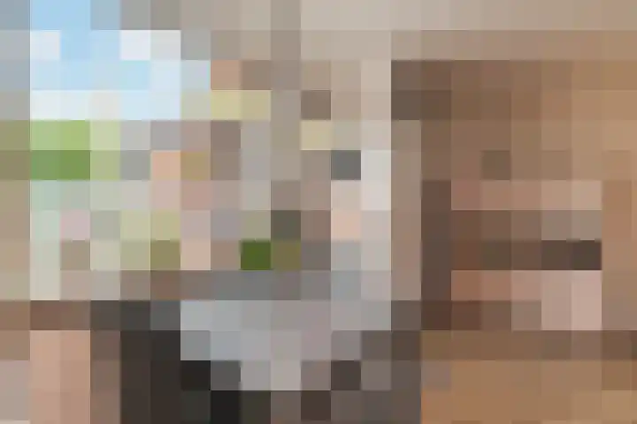 Zonnedauw 112 Boskoop thumbnail 16