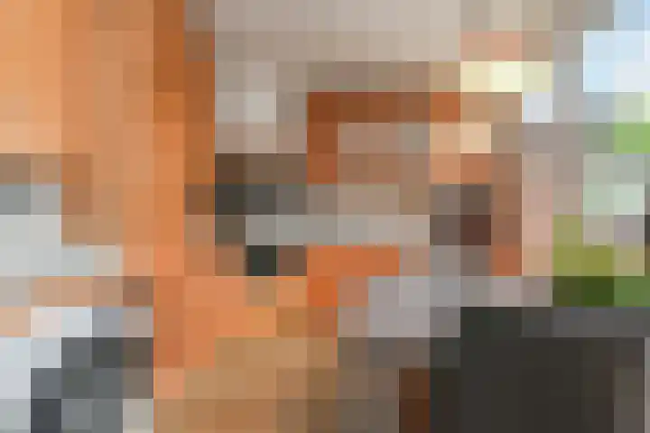 Zonnedauw 112 Boskoop thumbnail 17