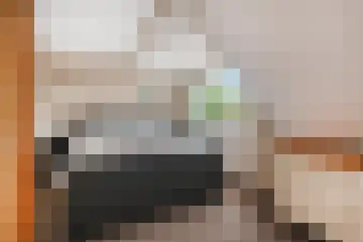Zonnedauw 112 Boskoop thumbnail 24