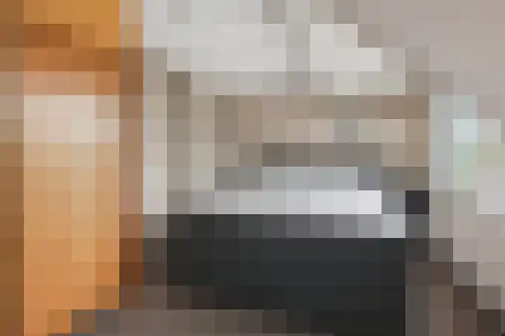 Zonnedauw 112 Boskoop thumbnail 25
