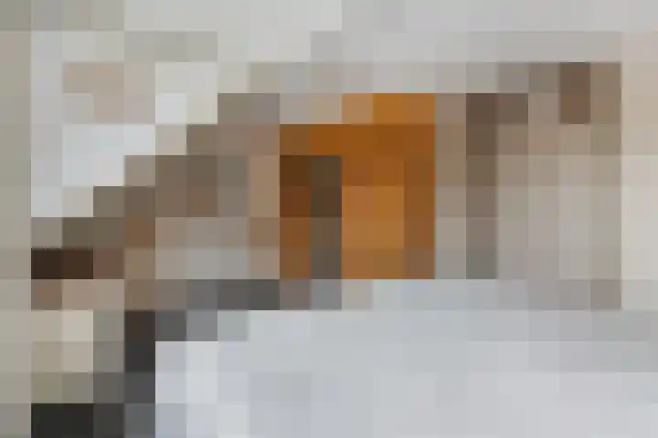 Zonnedauw 112 Boskoop thumbnail 26