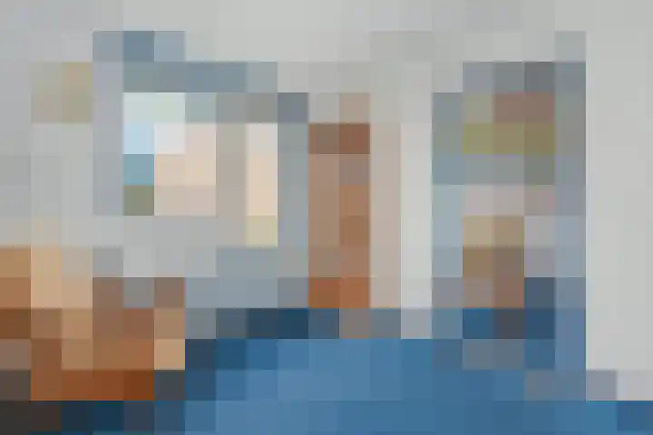 Zonnedauw 112 Boskoop thumbnail 27
