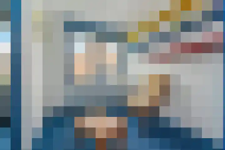 Zonnedauw 112 Boskoop thumbnail 29