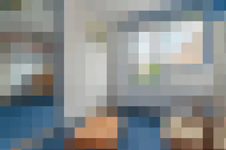 Zonnedauw 112 Boskoop thumbnail 30