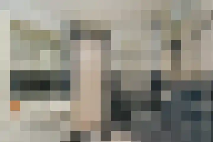 Zonnedauw 112 Boskoop thumbnail 32
