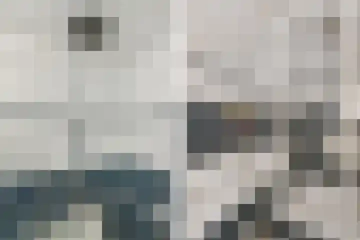 Zonnedauw 112 Boskoop thumbnail 33
