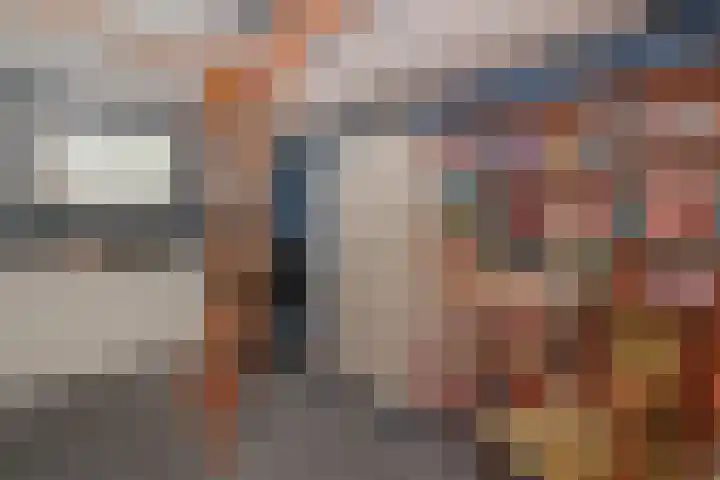 Zonnedauw 112 Boskoop thumbnail 35