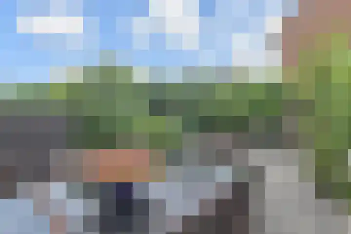 Zonnedauw 112 Boskoop thumbnail 39