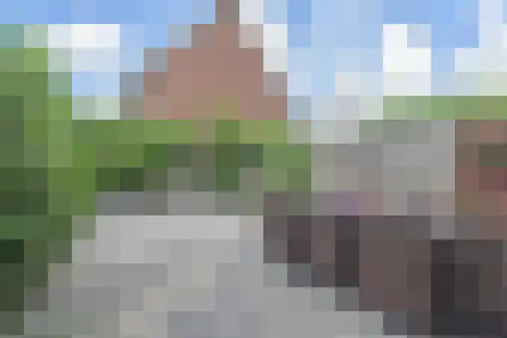 Zonnedauw 112 Boskoop thumbnail 40