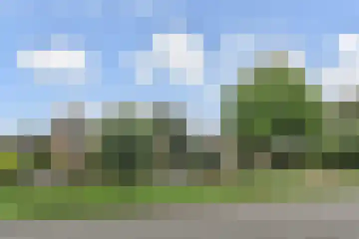 Zonnedauw 112 Boskoop thumbnail 44