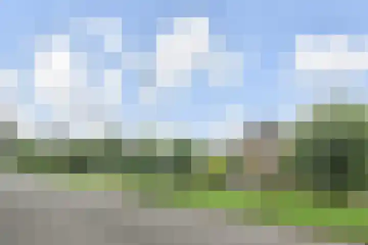 Zonnedauw 112 Boskoop thumbnail 45