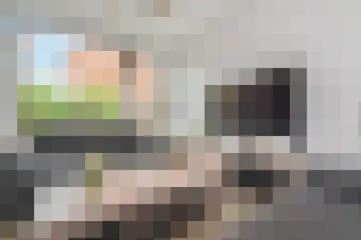 Zonnedauw 112 Boskoop thumbnail 9