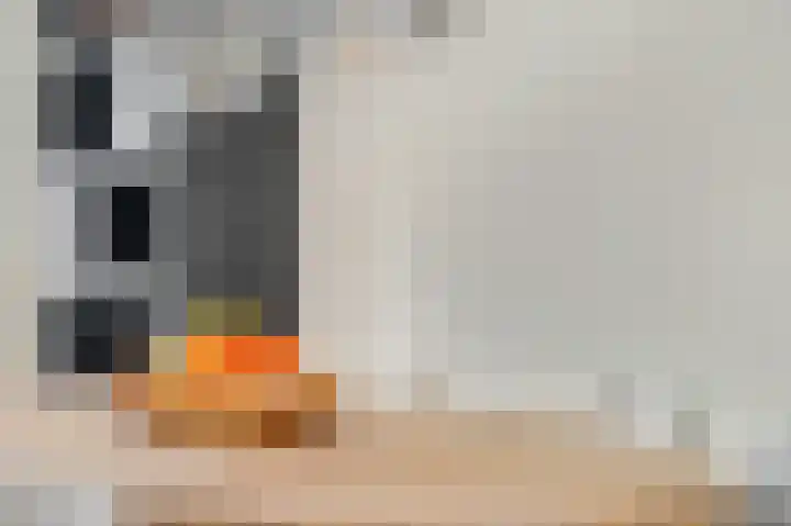 Zonnedauw 122 a Tiel thumbnail 13
