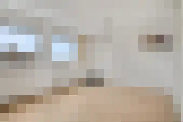 Zonnedauw 122 a Tiel thumbnail 22