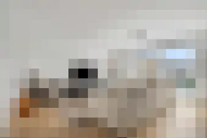 Zonnedauw 122 a Tiel thumbnail 7