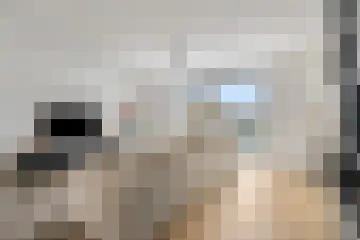 Zonnedauw 122 a Tiel thumbnail 9