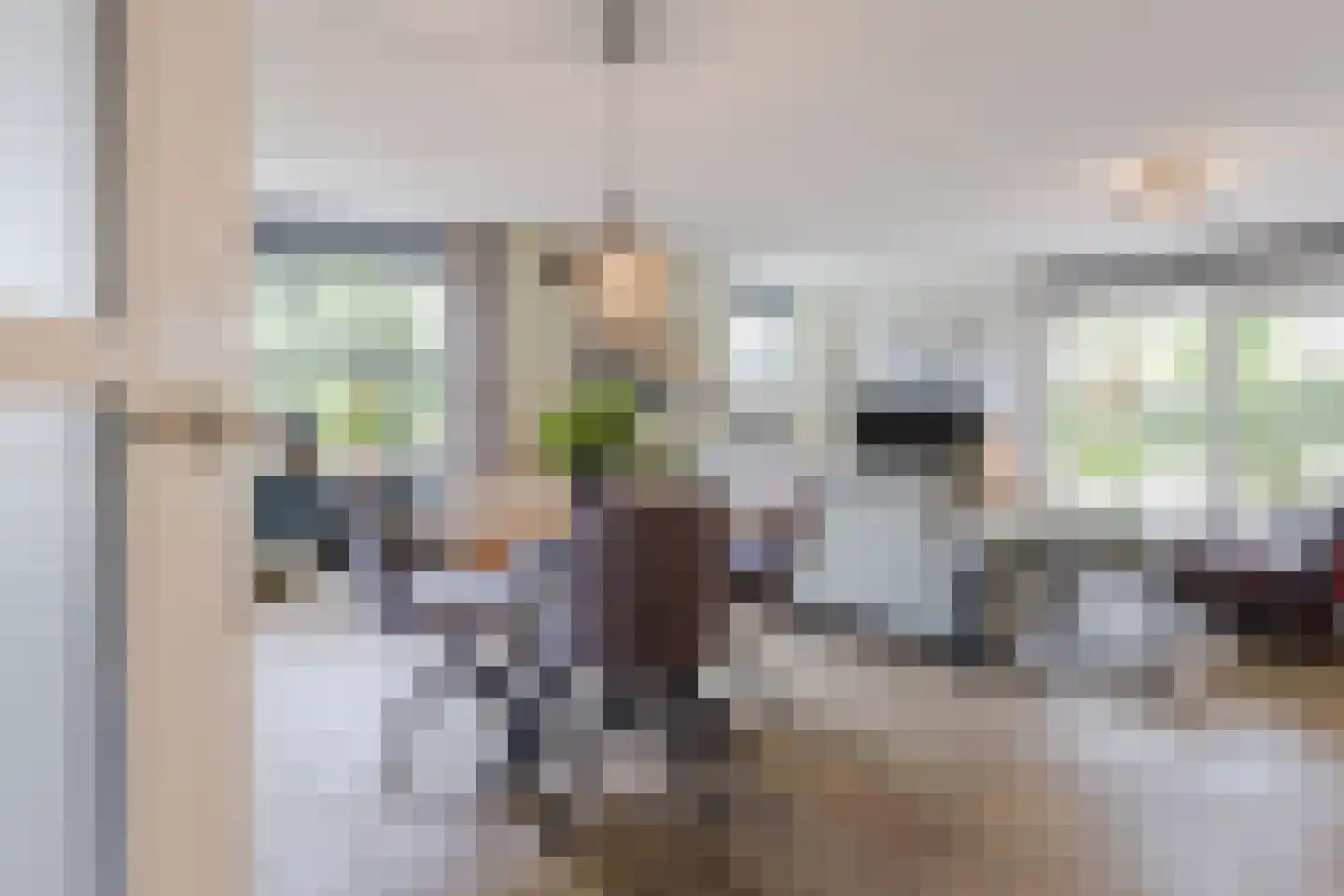 Zonnedauw 124 Tiel thumbnail 10
