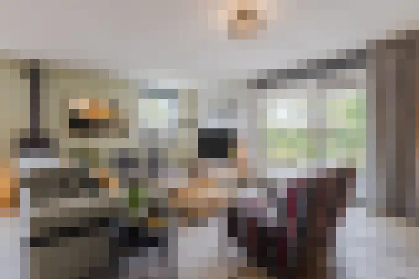 Zonnedauw 124 Tiel thumbnail 11