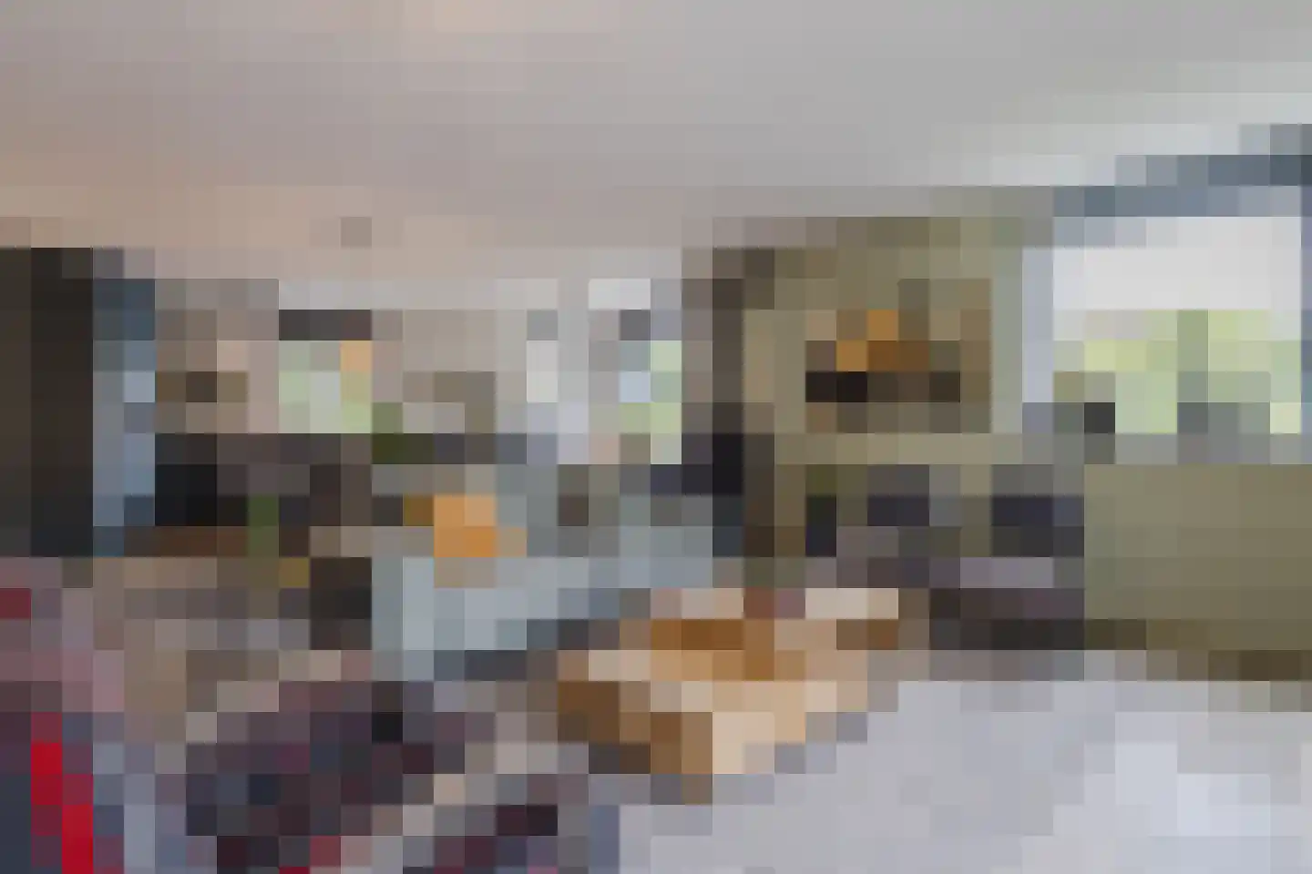 Zonnedauw 124 Tiel thumbnail 12