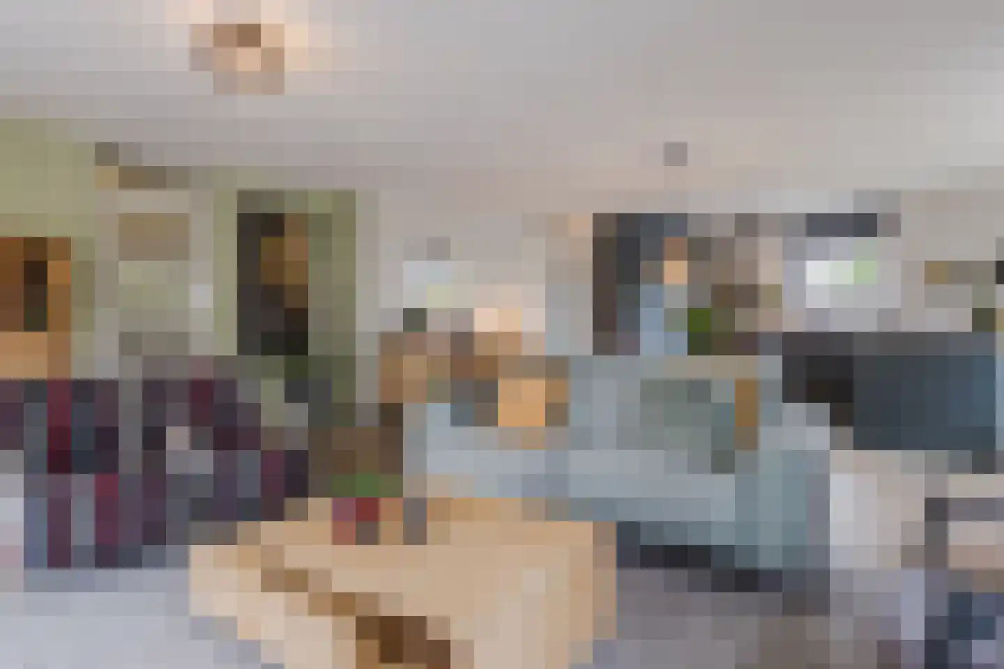 Zonnedauw 124 Tiel thumbnail 13