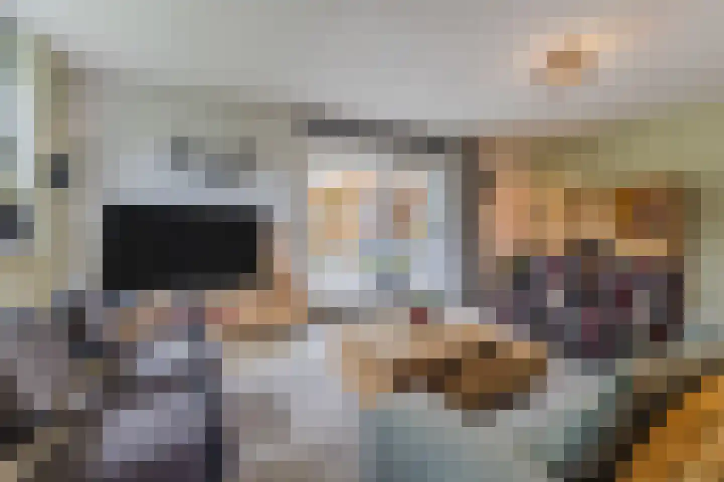 Zonnedauw 124 Tiel thumbnail 17