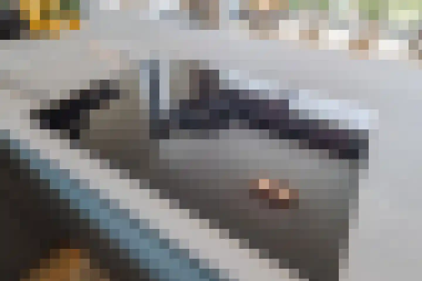 Zonnedauw 124 Tiel thumbnail 24