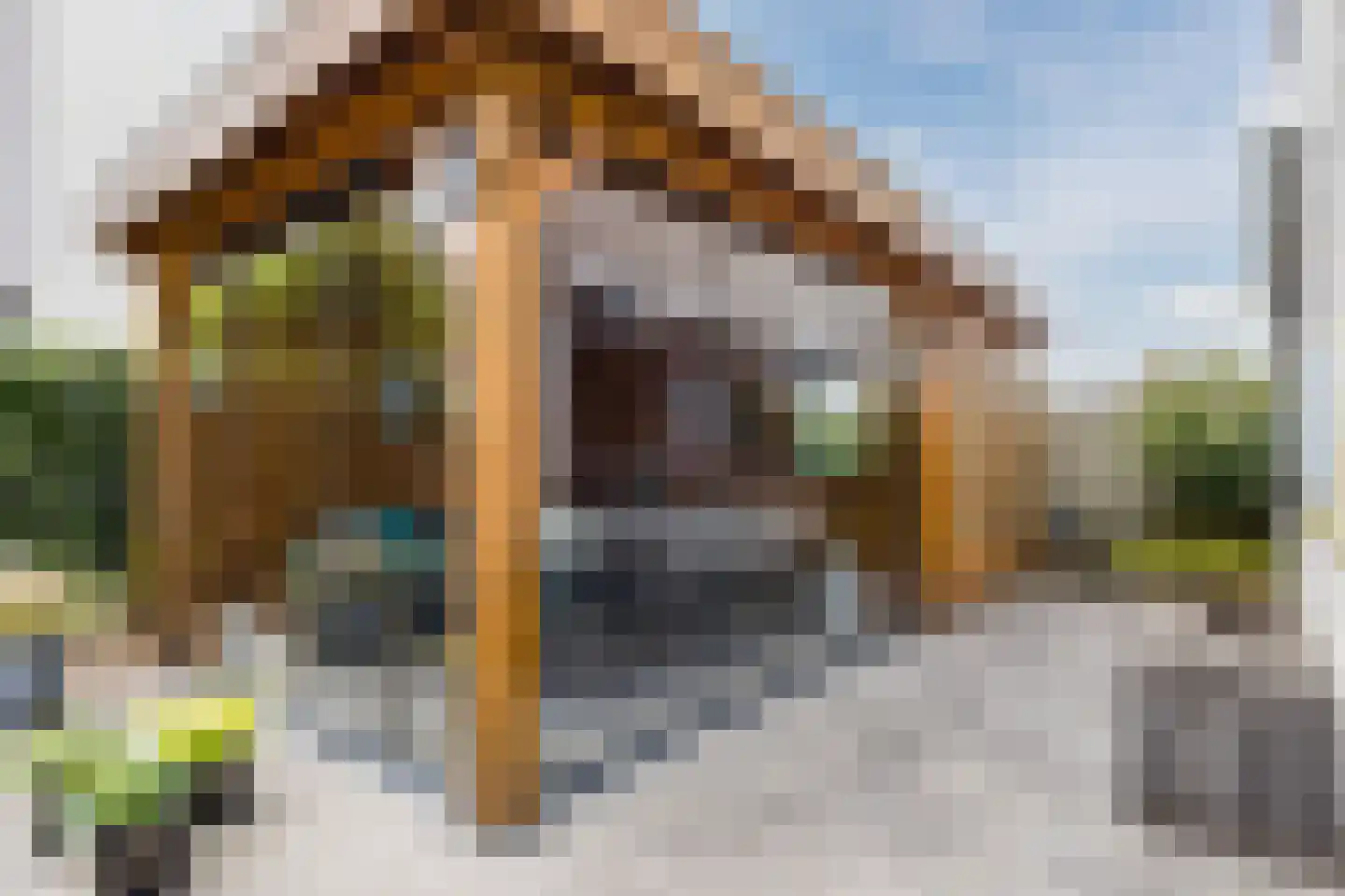 Zonnedauw 124 Tiel thumbnail 39
