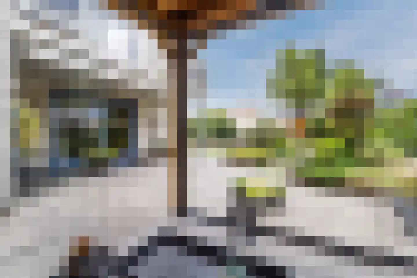 Zonnedauw 124 Tiel thumbnail 41