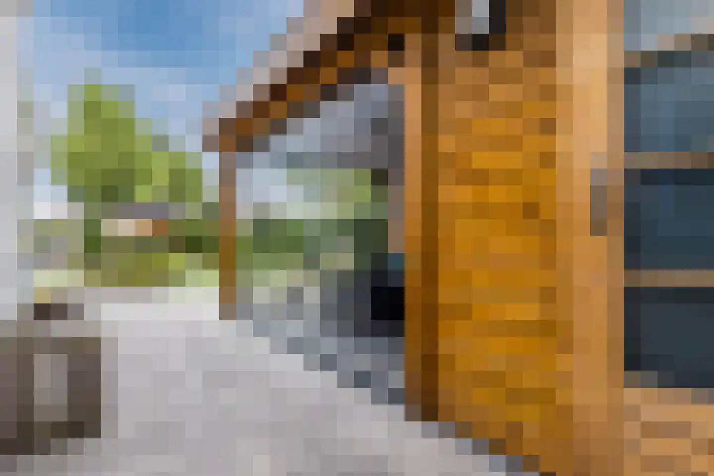 Zonnedauw 124 Tiel thumbnail 42