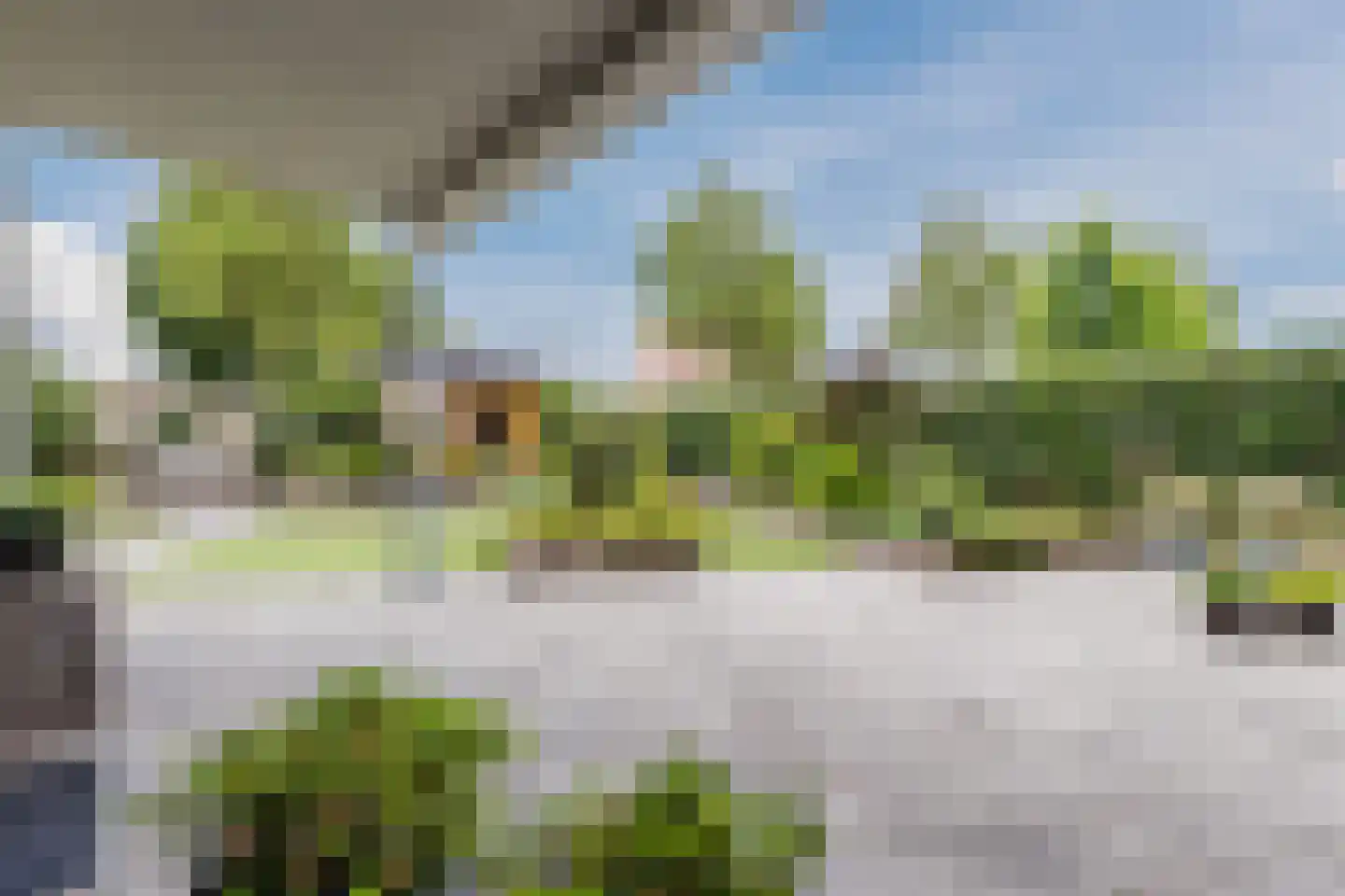 Zonnedauw 124 Tiel thumbnail 43