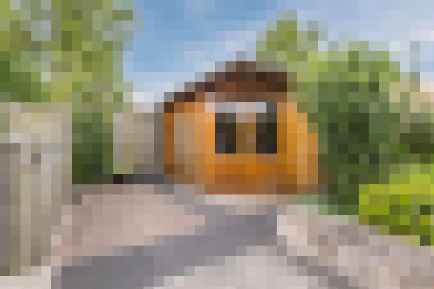 Zonnedauw 124 Tiel thumbnail 44