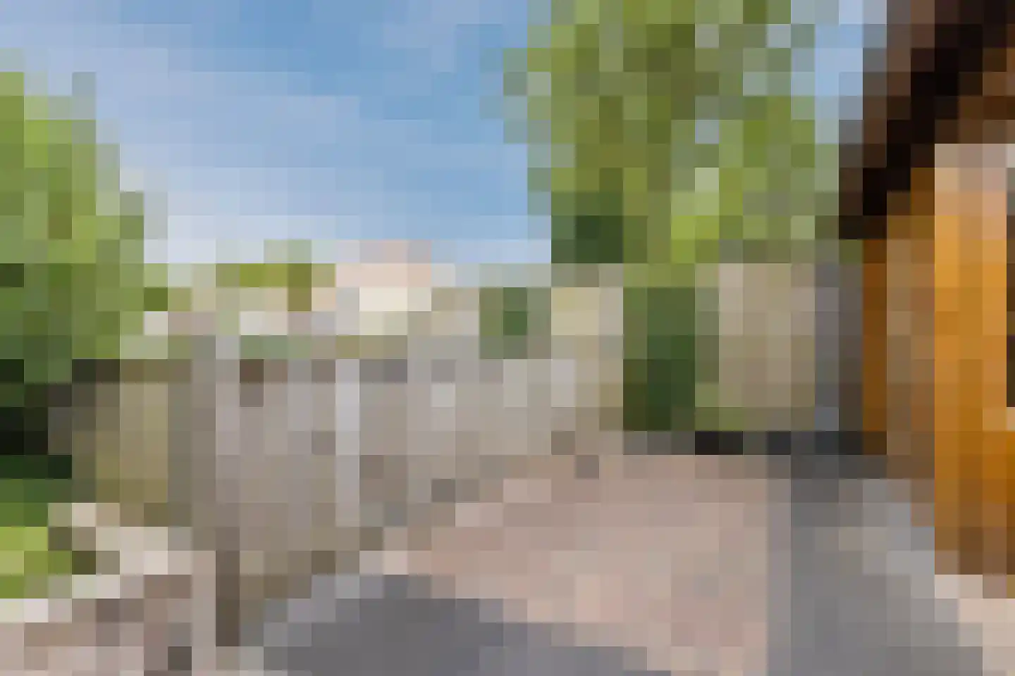 Zonnedauw 124 Tiel thumbnail 47