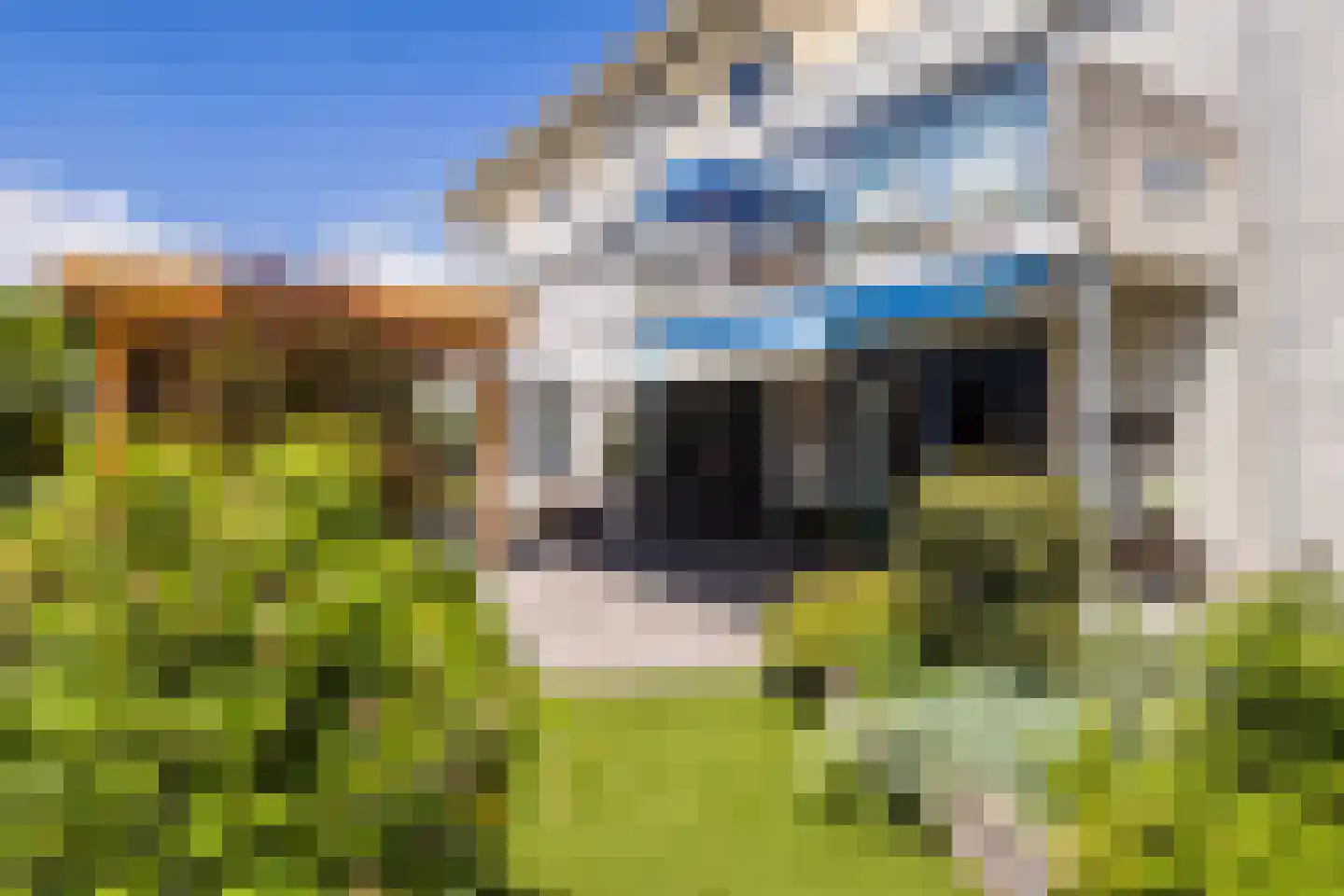 Zonnedauw 124 Tiel thumbnail 48
