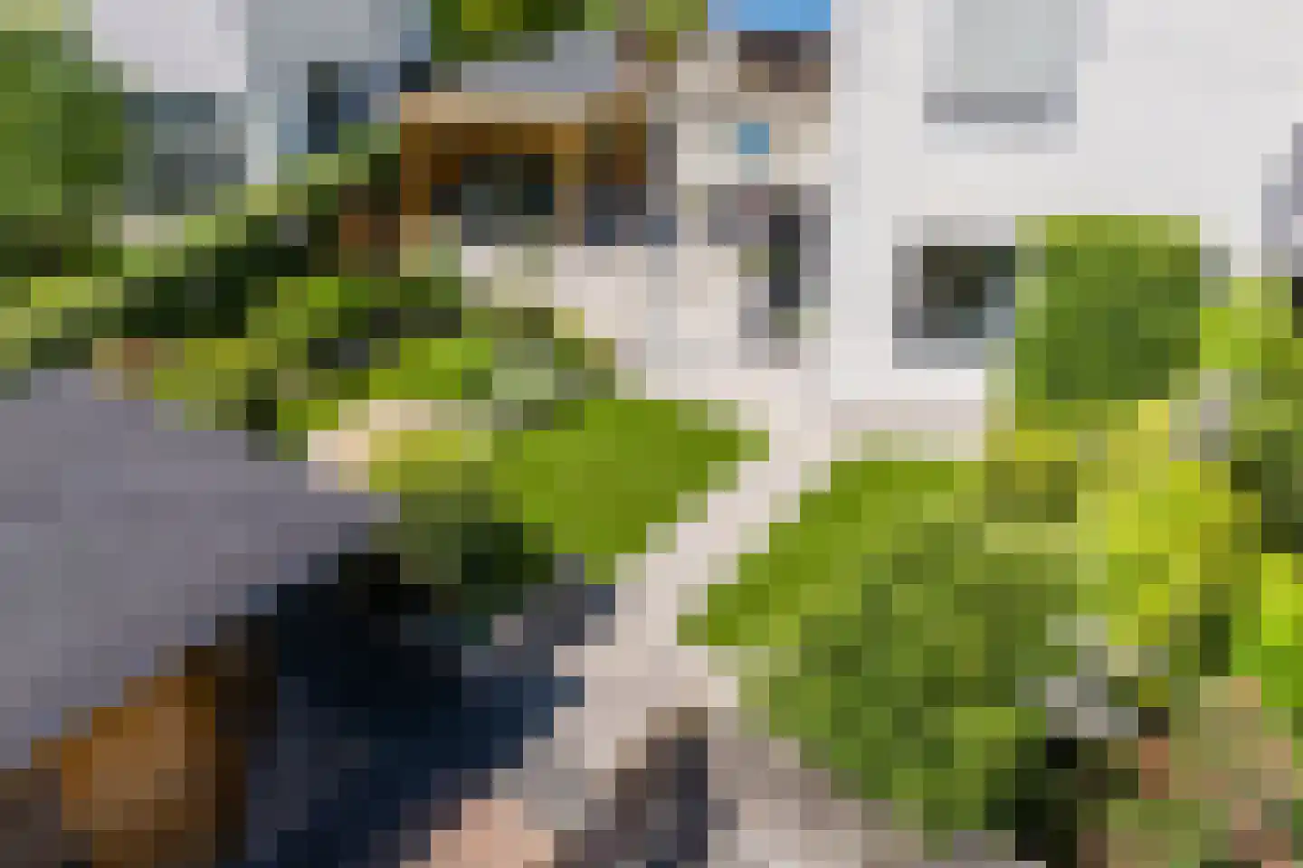 Zonnedauw 124 Tiel thumbnail 5