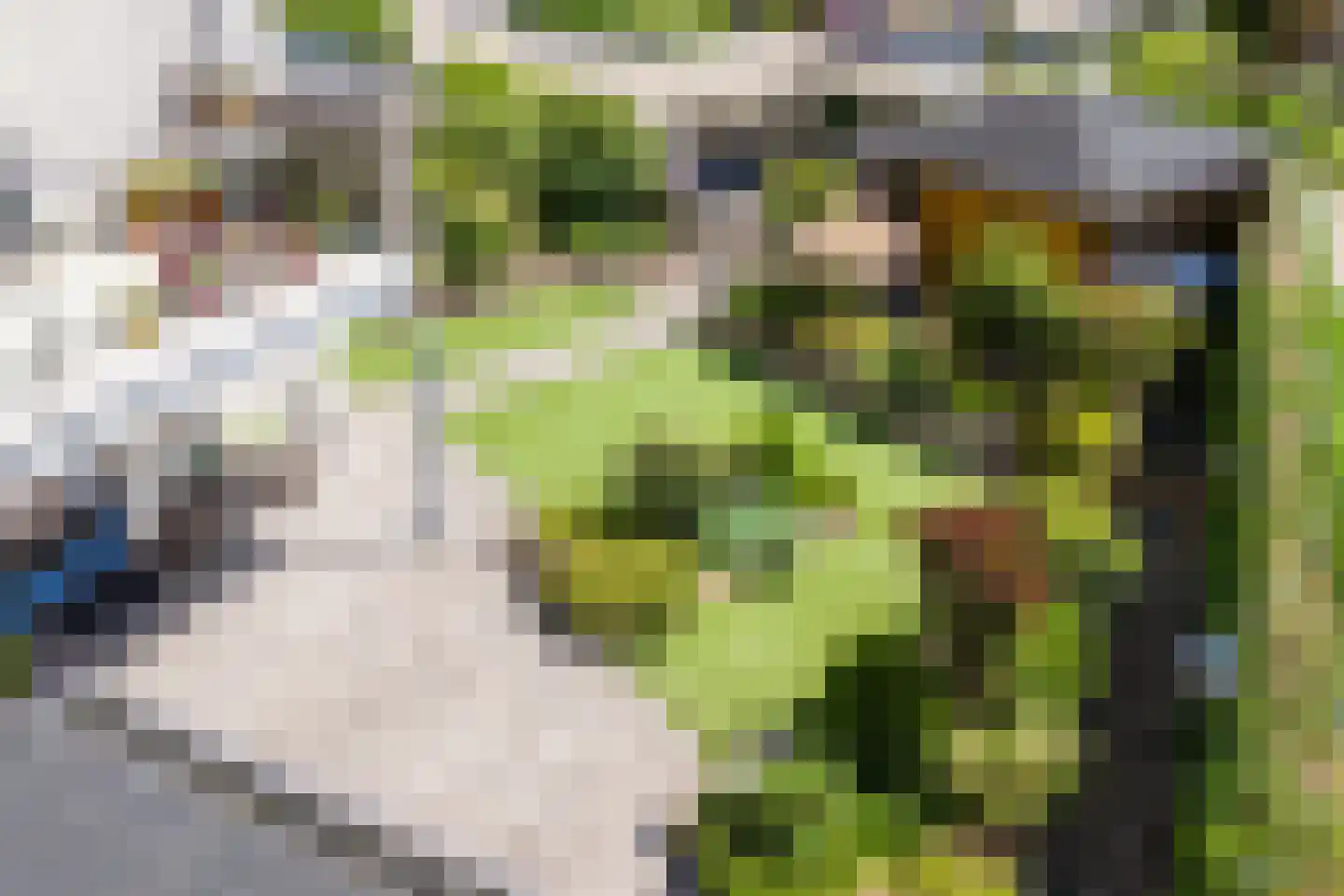 Zonnedauw 124 Tiel thumbnail 52