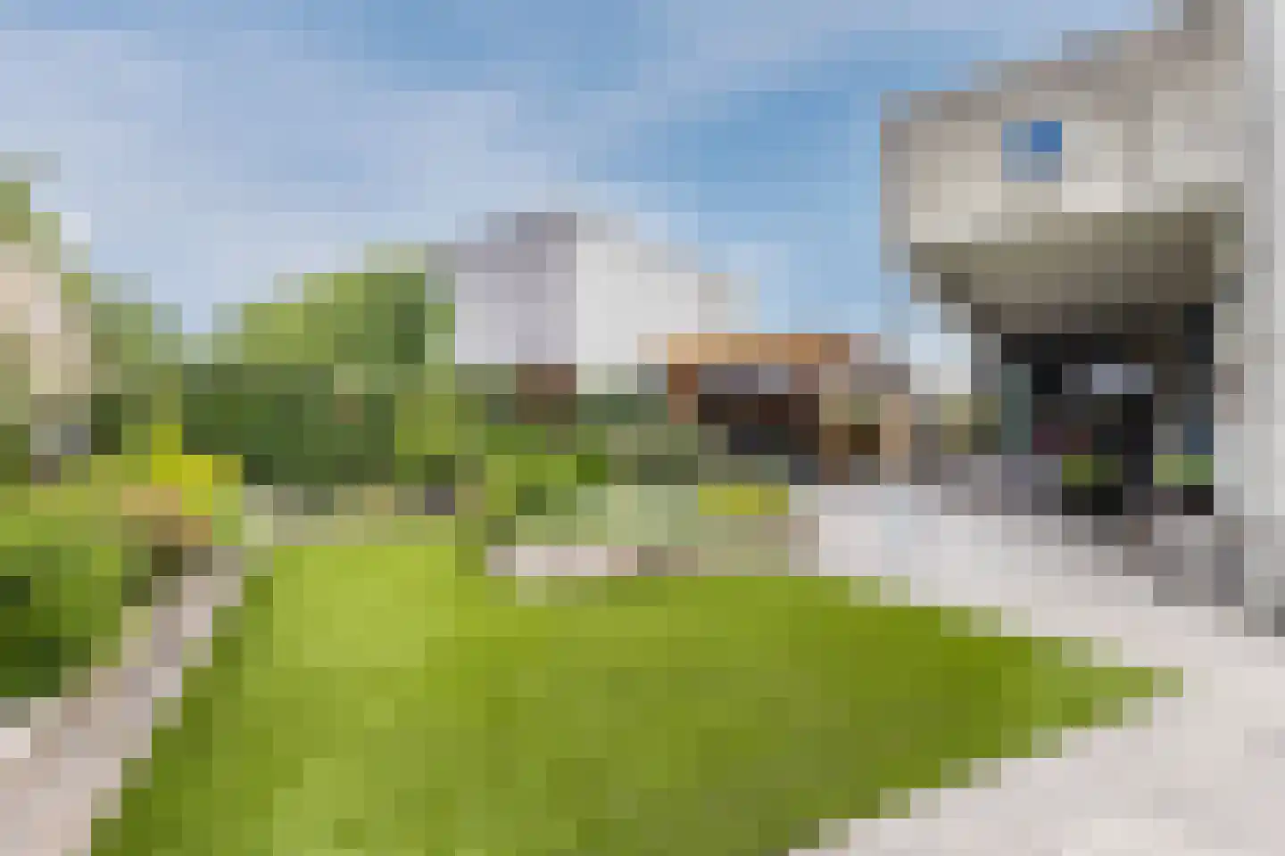 Zonnedauw 124 Tiel thumbnail 6