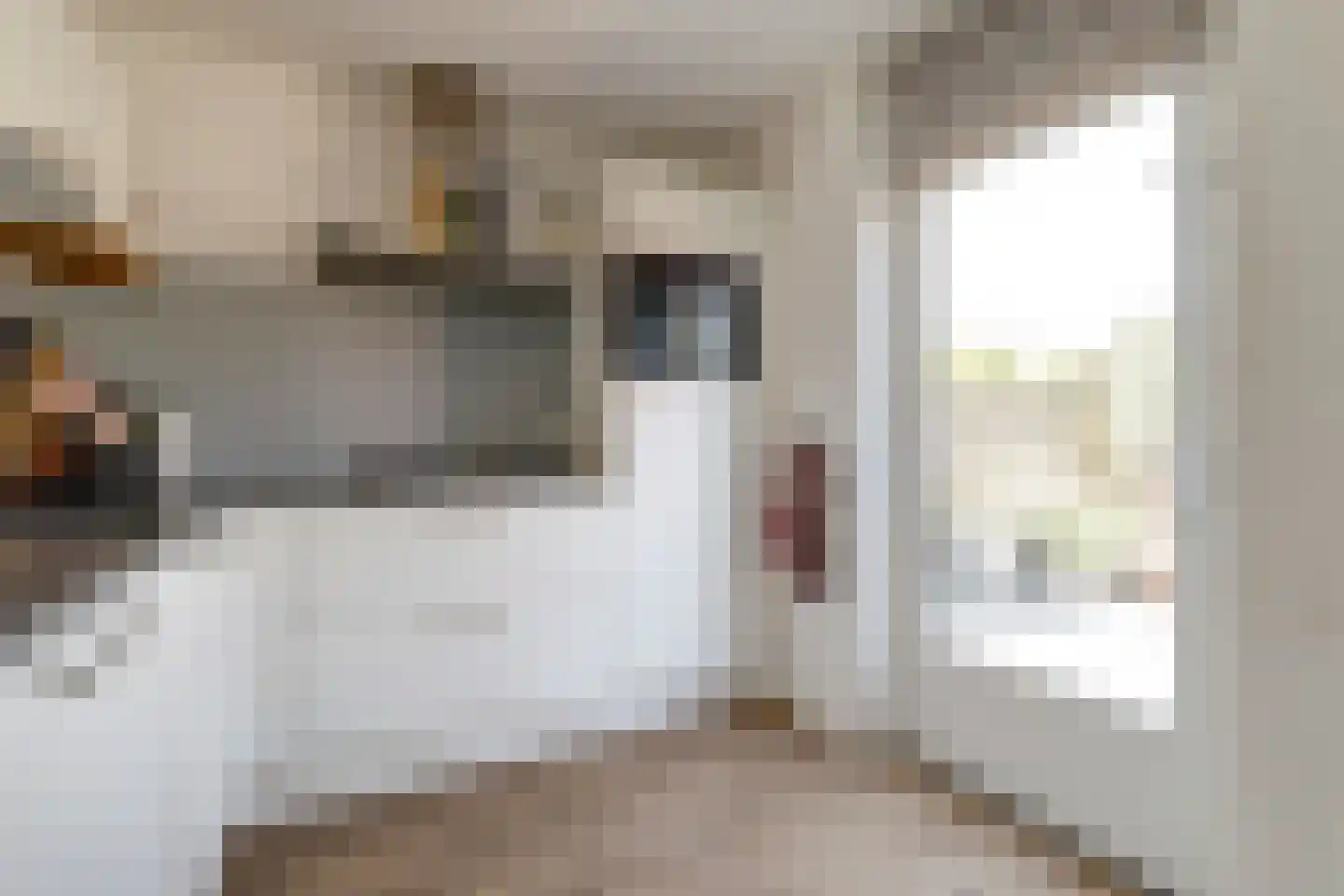 Zonnedauw 139 Tiel thumbnail 10