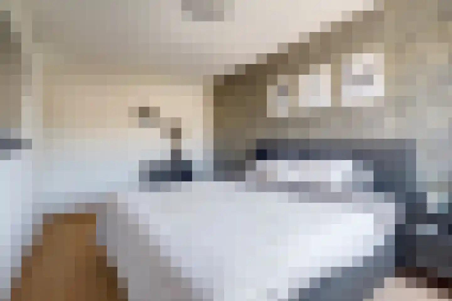 Zonnedauw 139 Tiel thumbnail 15