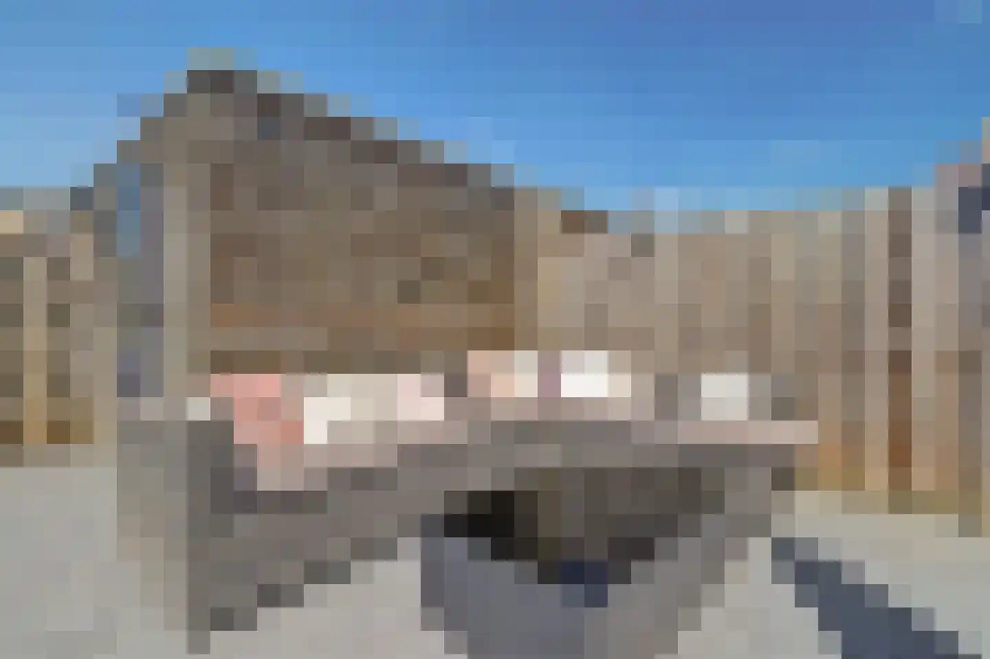 Zonnedauw 139 Tiel thumbnail 30