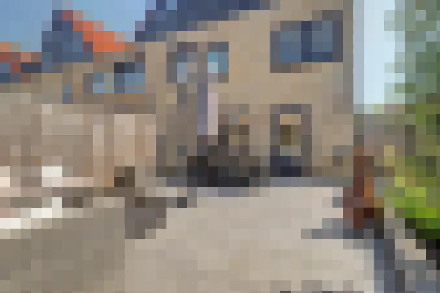 Zonnedauw 139 Tiel thumbnail 31
