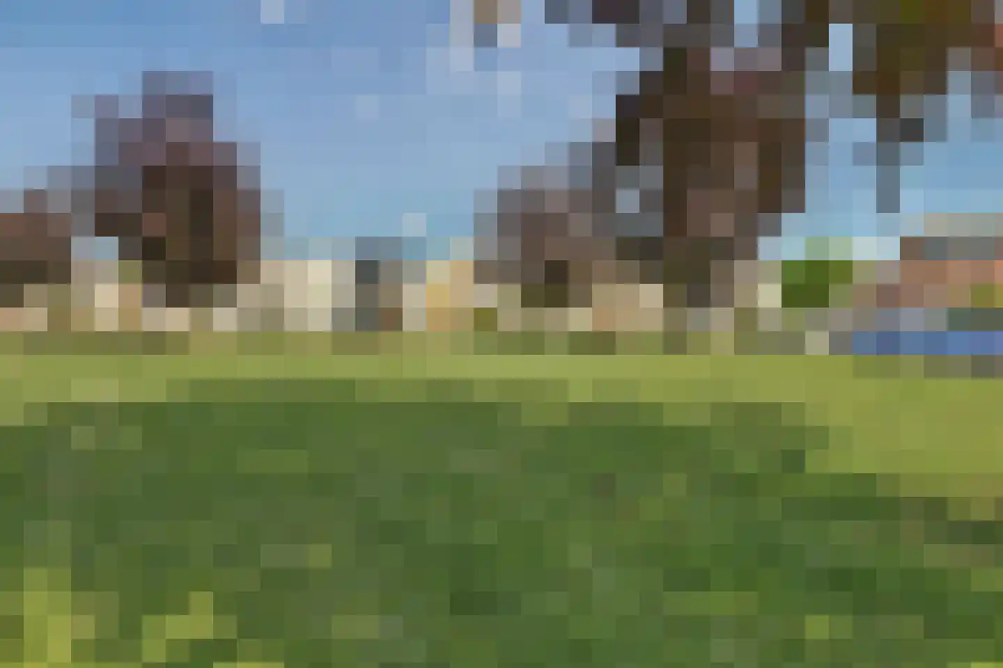 Zonnedauw 139 Tiel thumbnail 33