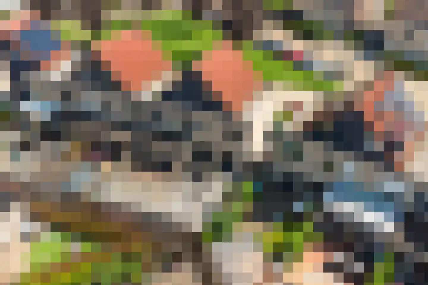 Zonnedauw 139 Tiel thumbnail 40