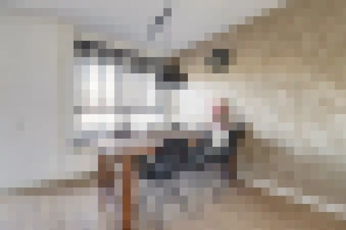 Zonnedauw 139 Tiel thumbnail 8